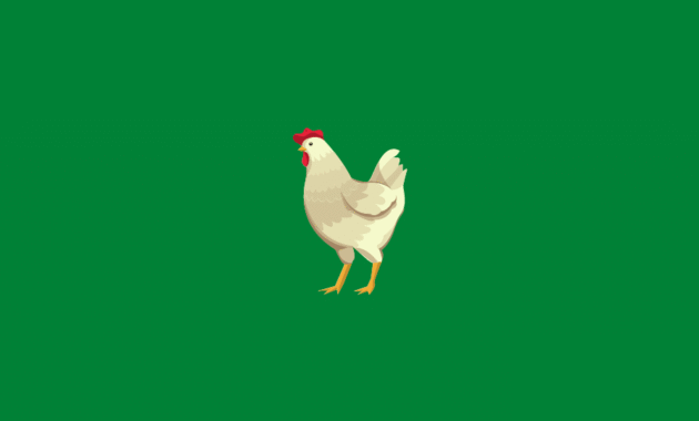 Harga Bibit Ayam Joper