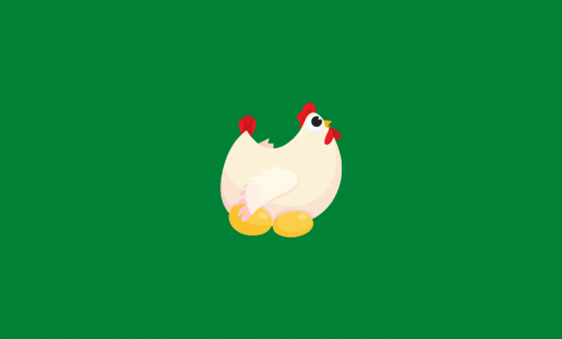 Harga Bibit Ayam Petelur