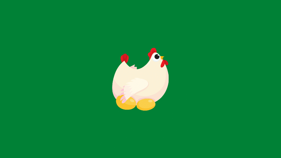Harga Bibit Ayam Petelur