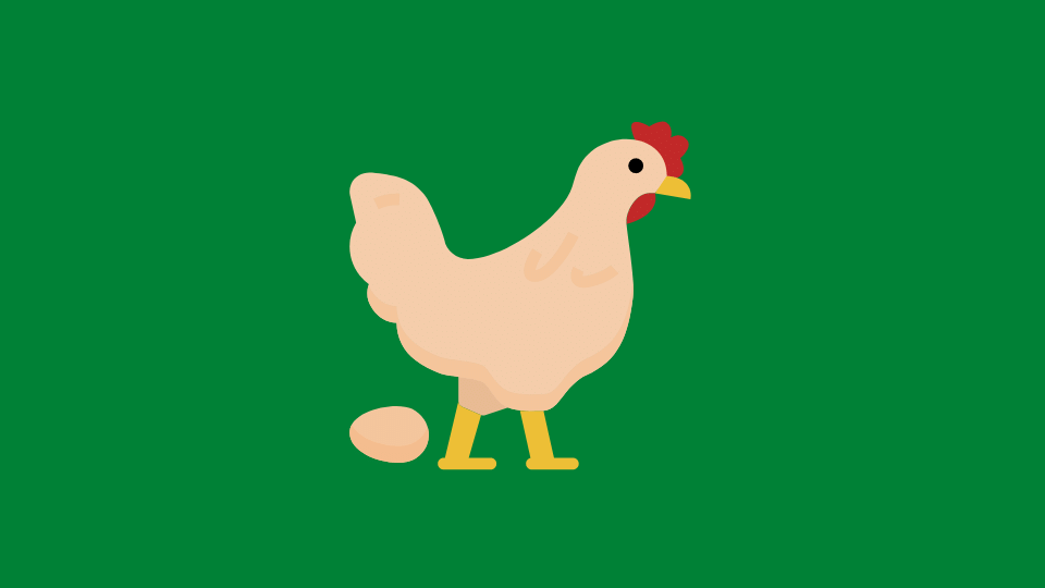 Harga Bibit Ayam Potong