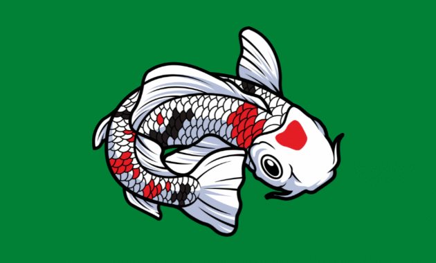 Harga Bibit Ikan Koi Blitar