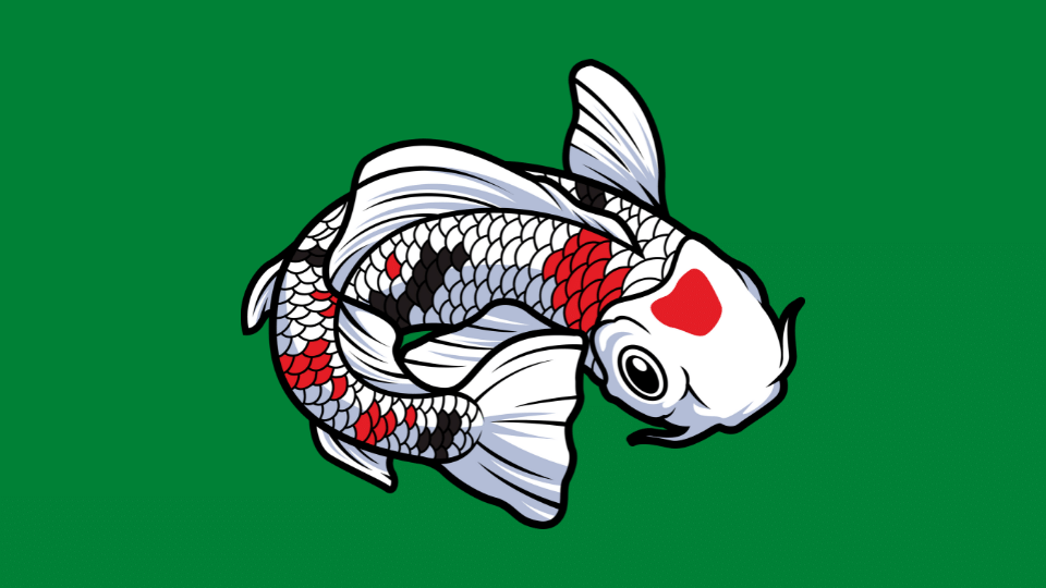 Harga Bibit Ikan Koi Blitar
